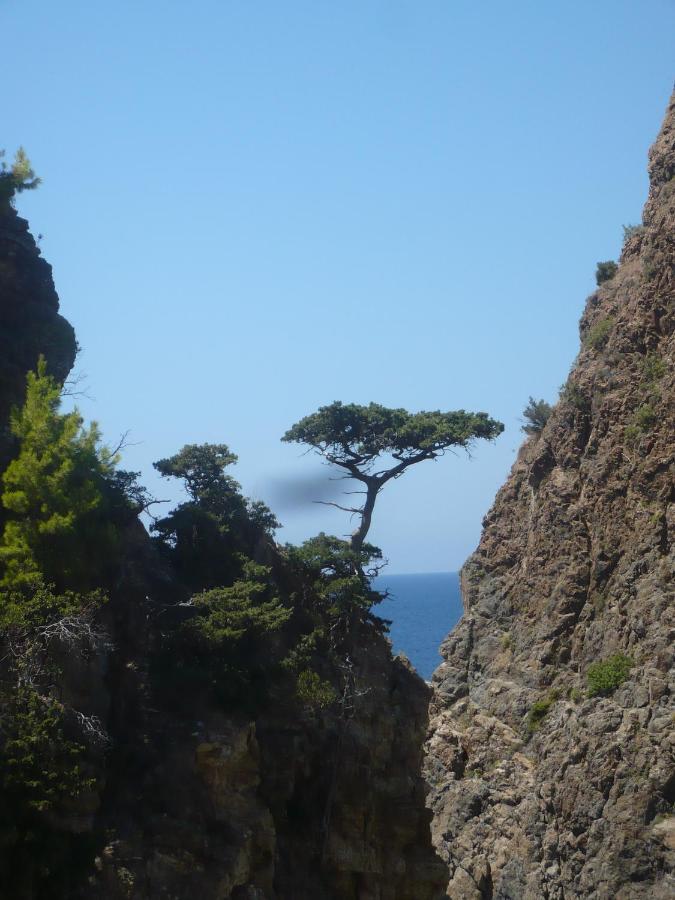 Zeytinada Pansiyon Ve Goezleme Guneykoy Buitenkant foto
