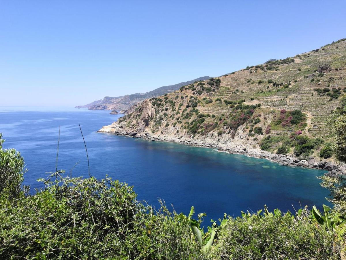 Zeytinada Pansiyon Ve Goezleme Guneykoy Buitenkant foto